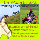 Trekking con Asini e Muli