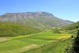 Fiorita Castelluccio