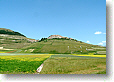 Fiorita Castelluccio