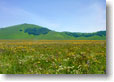 Fiorita Castelluccio