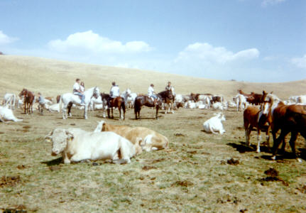 Trekking del Maneggio