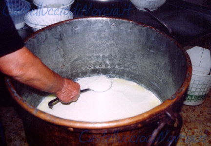 Taglio della Ricotta a Fette