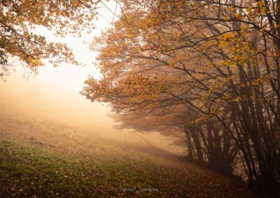 Fioritura Castelluccio autunno