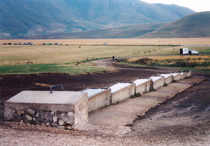 Fontanile di Terra Nera